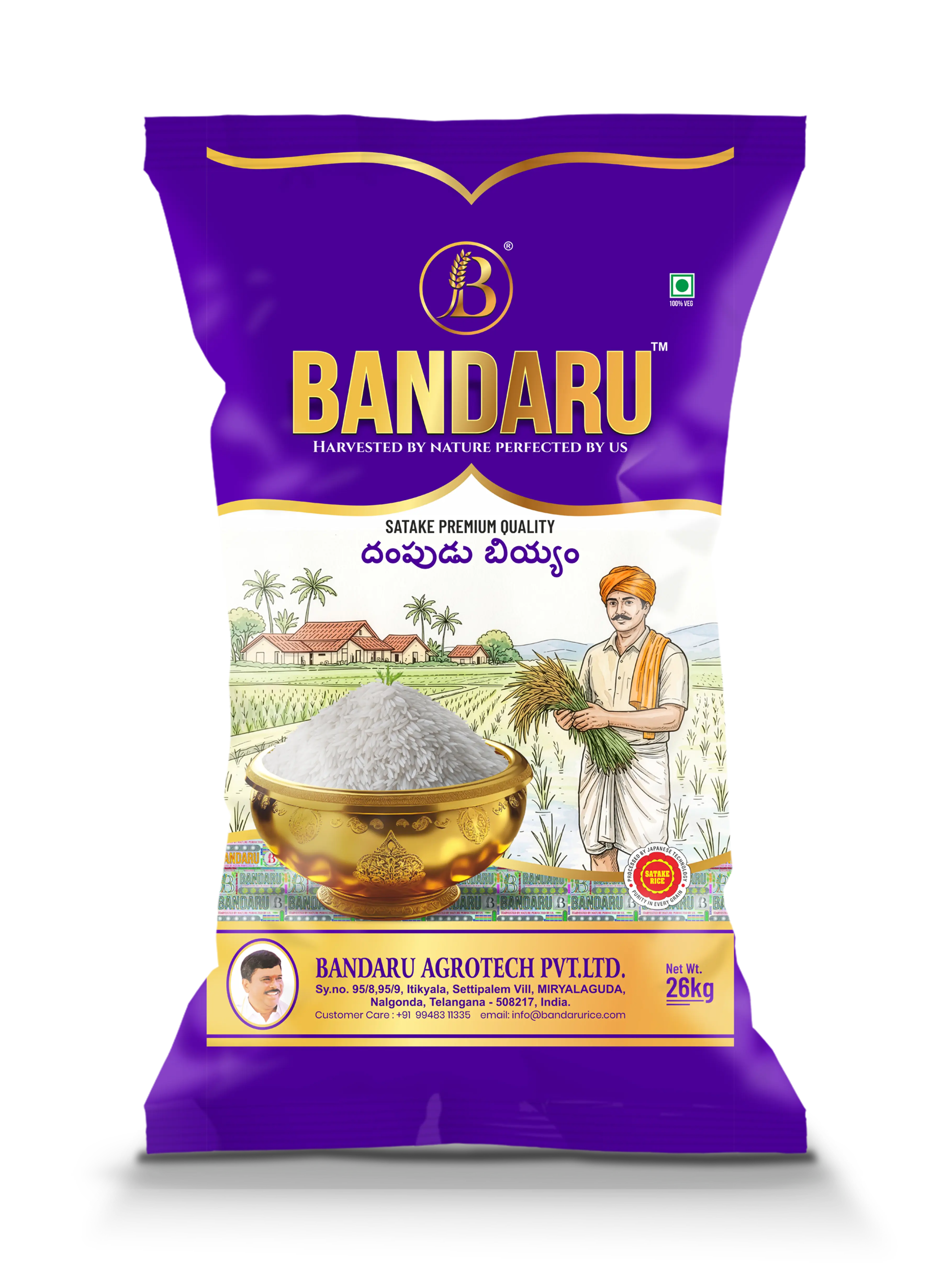 Bandaru Dampudu Biyyam bag